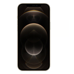 iPhone 12 Pro Max Gold • 256 GB